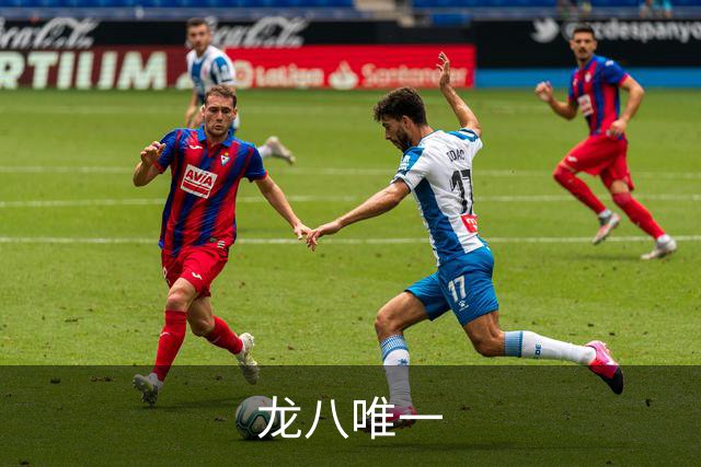 龙八唯一公司简介